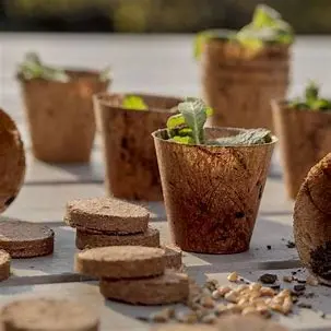 Macetas de Fibra de Coco